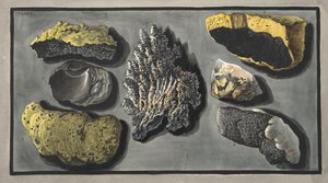 Specimens of volcanic matter found in the crater of Vesuvius, Plate XXXXVI, from 